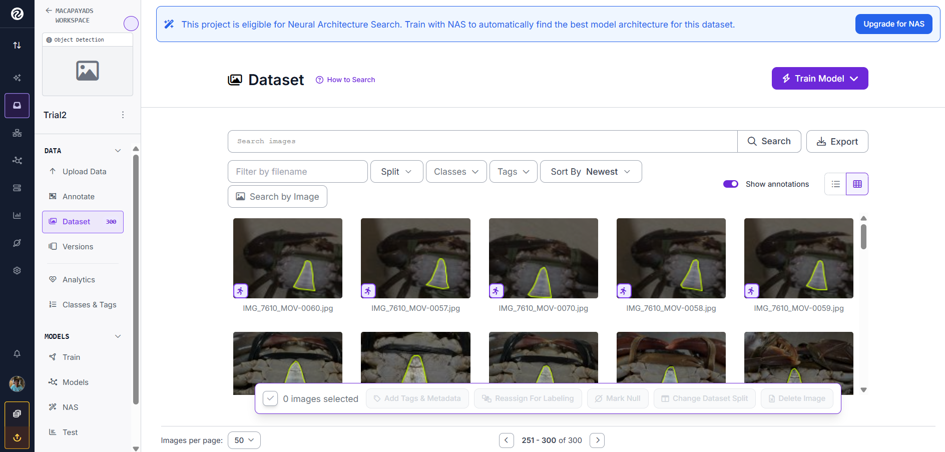 Dataset Screenshot