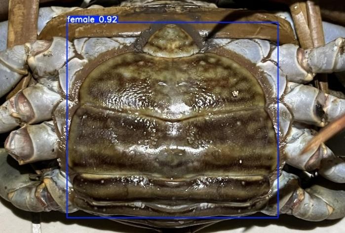 Sample Result Screenshot